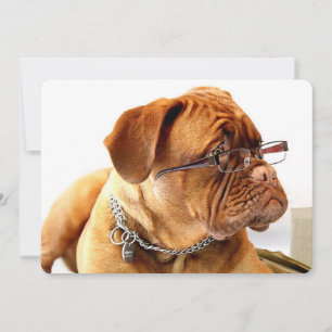 Bordeaux Mastiff, French Mastiff Bordeauxdog Gift