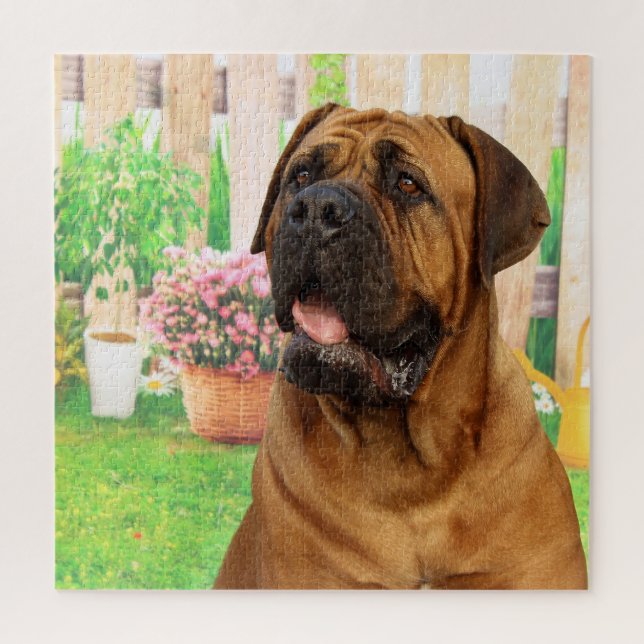 Bordeaux Mastiff Jigsaw Puzzle (Vertical)