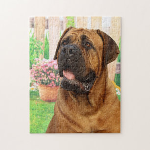 Bordeaux Mastiff Jigsaw Puzzle
