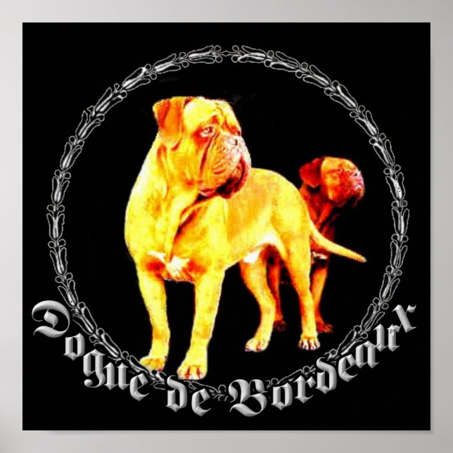 Bordeaux poster dogue (Front)