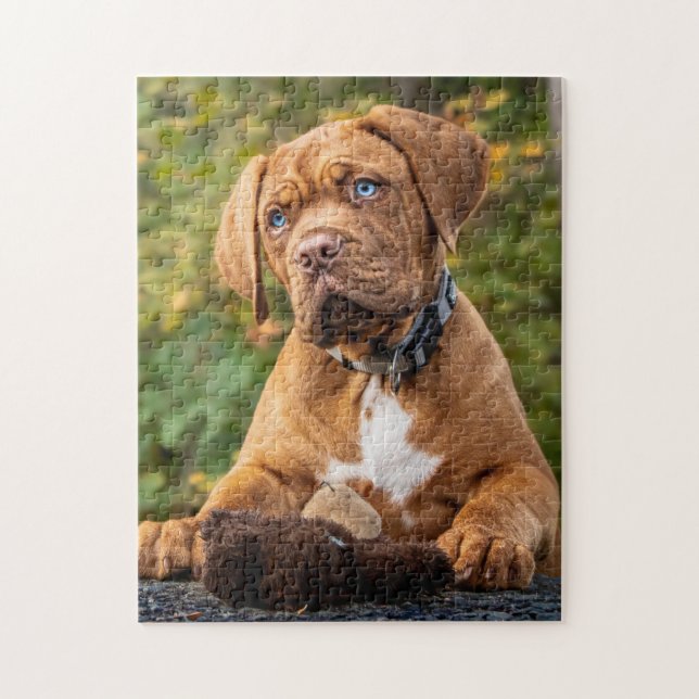Bordeaux Puppy Dog Playful Dogue Jigsaw Puzzle (Vertical)