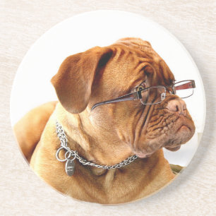 Bordeauxdog Coaster