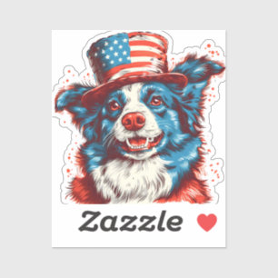 Border colie with an American flag hat