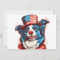 Border colie with an American flag hat