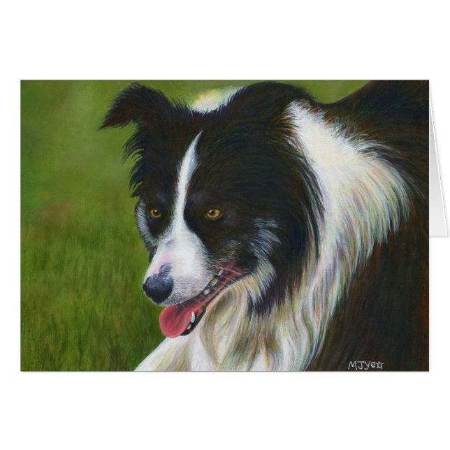 Border Collie (Front Horizontal)