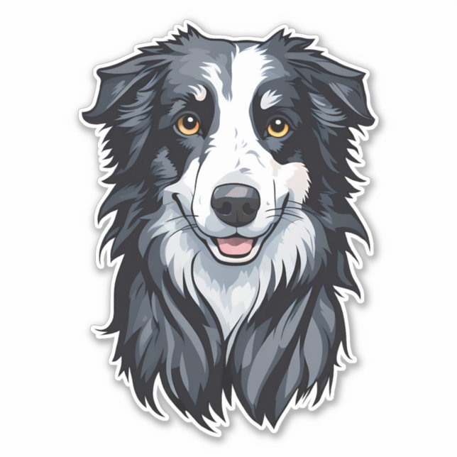 Border Collie (Front)