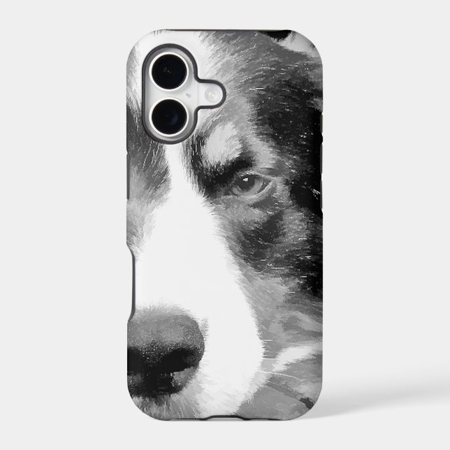 BORDER COLLIE (Back)