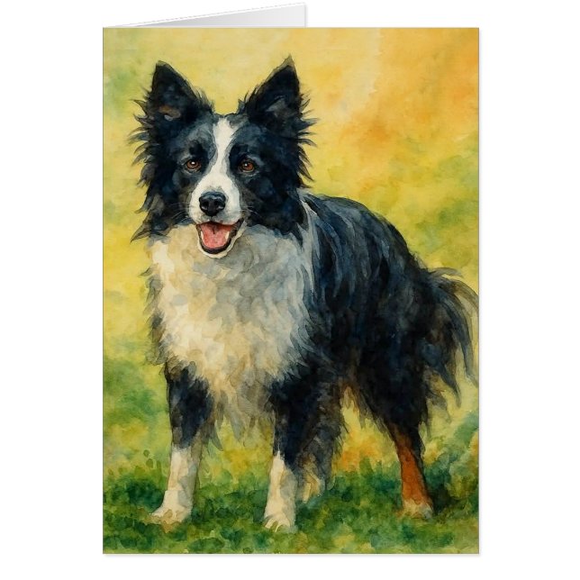 Border Collie (Front)