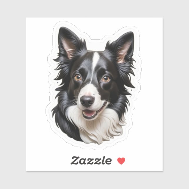 Border Collie (Sheet)