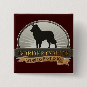 Border Collie 15 Cm Square Badge