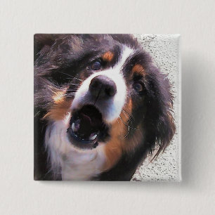 BORDER COLLIE 15 CM SQUARE BADGE