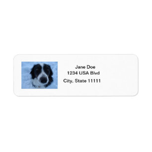Border Collie Address Labels