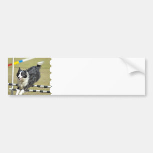Border Collie Agility  Bumper Sticker