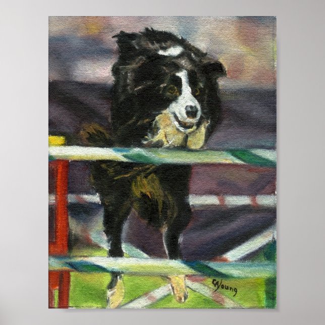 Border Collie Agility Dog Portrait Poster (Front)