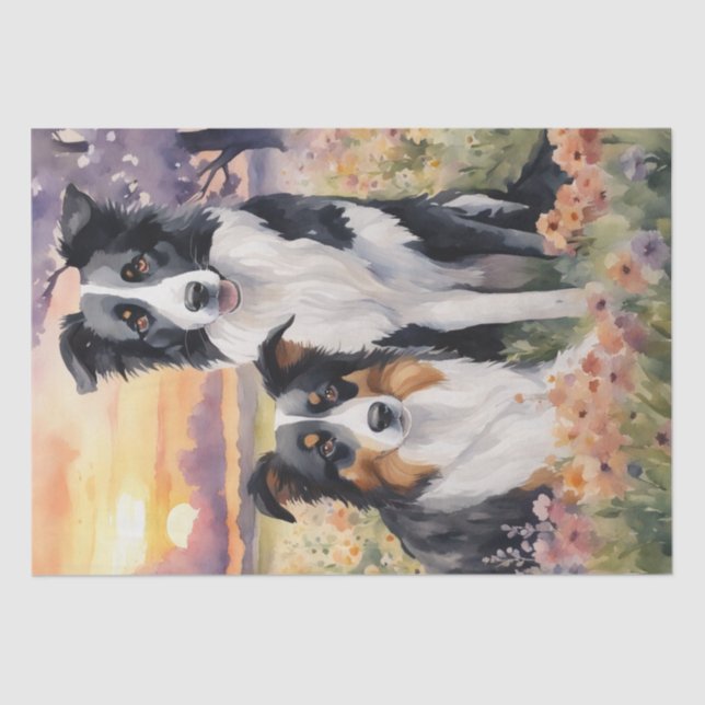 Border Collie and Australian Shepard decoupage Tissue Paper (Front)