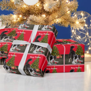 Border Collie and Christmas Tree Wrapping Paper