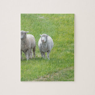 Border Collie and Ewe Jigsaw Puzzle