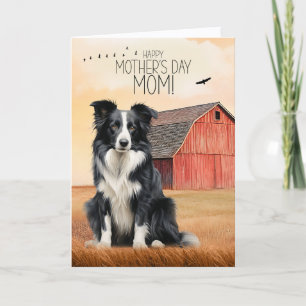 Border Collie and Red Barn Mother's Day Holiday Card