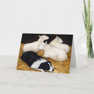 "Border Collie and Sheep" Dog Art Greeting Card