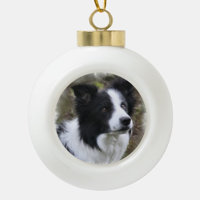 Border Collie Art Ceramic Ball Christmas Ornament (Front)