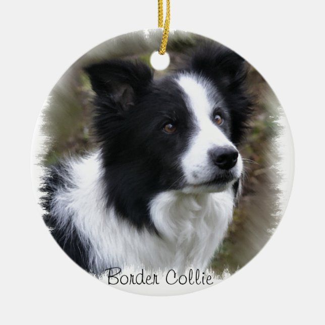 Border Collie Art Ceramic Tree Decoration (Front)