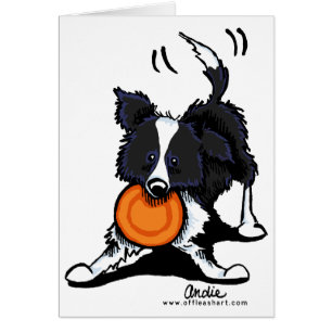 Border Collie at Play