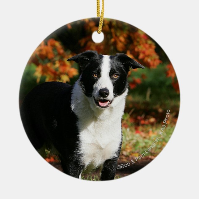 Border Collie Autumn Standing Ceramic Ornament (Front)