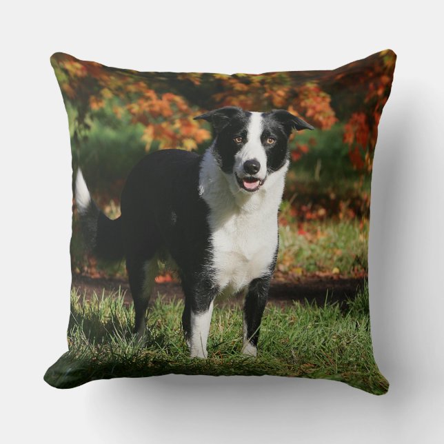 Border Collie Autumn Standing Cushion (Front)