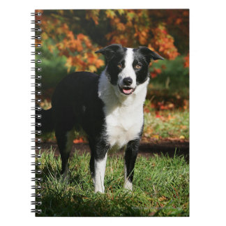 Border Collie Autumn Standing Notebook