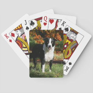 Border Collie Autumn Standing Playing Cards
