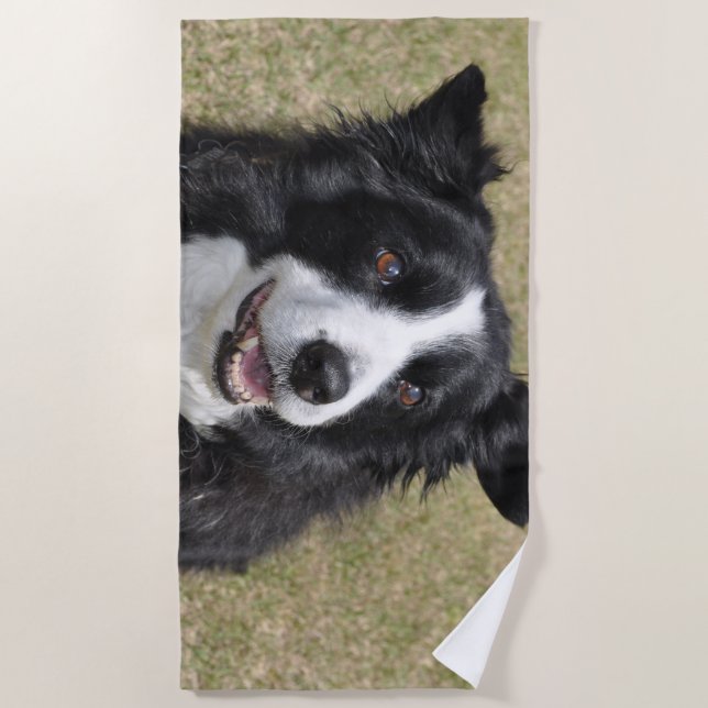 Border collie beach towel (Front)
