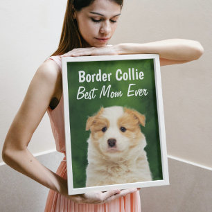 Border Collie Best Mum Poster
