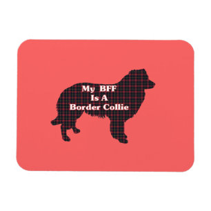Border Collie BFF Magnet