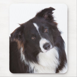 Border Collie Black And White Puppy Dog Mouse Pad