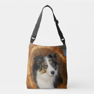Border Collie Blue Merle Dog Photo - on Crossbody Bag