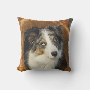 Border Collie Blue Merle Dog Portrait -for Outside Outdoor Cushion