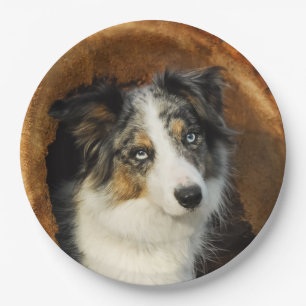Border Collie Blue Merle Dog Portrait, Happy Party Paper Plate