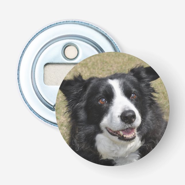Border Collie Bottle Opener (Front)