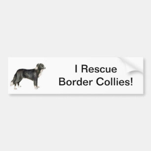Border Collie Bumper Sticker