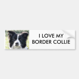 Border Collie Bumper Sticker