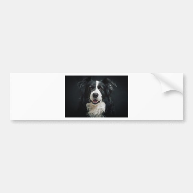 border-collie bumper sticker (Front)