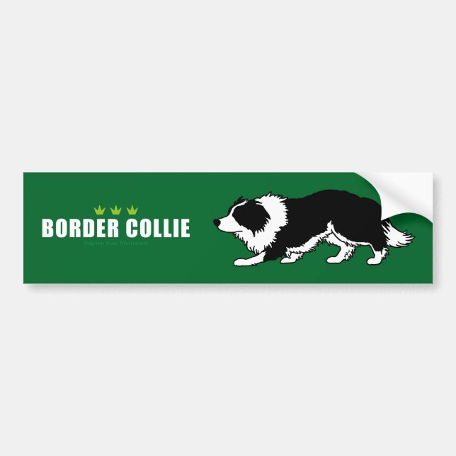 Border Collie Bumper Sticker (Front)