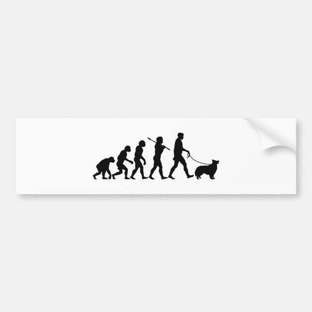 Border Collie Bumper Sticker (Front)