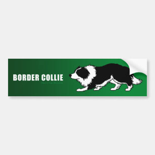 Border Collie Bumper Sticker