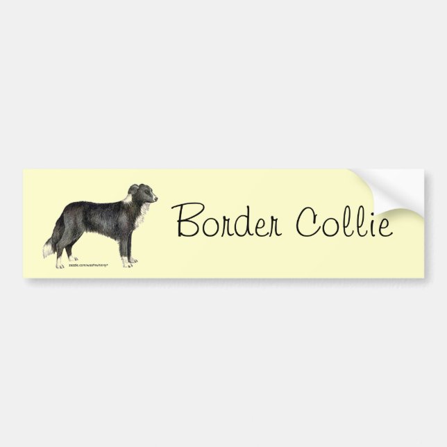 Border Collie Bumper Sticker (Front)