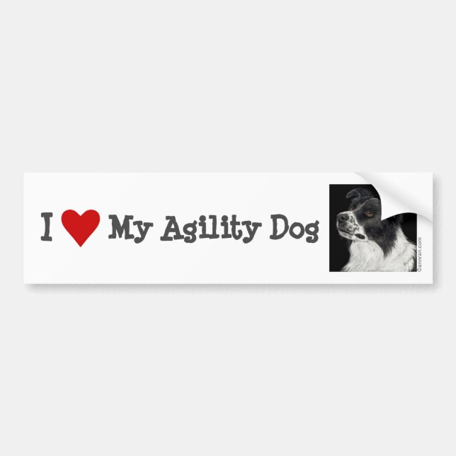 Border Collie Bumper Sticker - "Ben" 2 (Front)