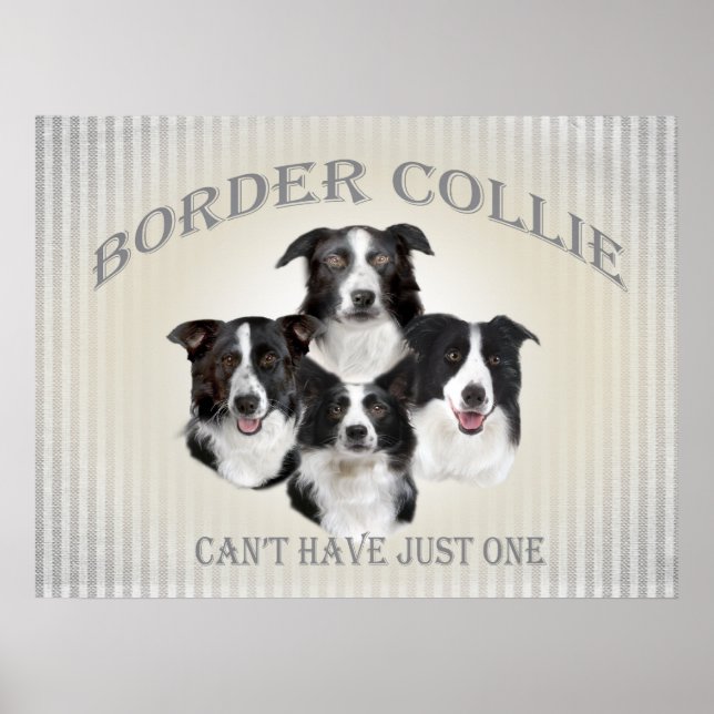 Border Collie Can't Have Just One Poster (Front)