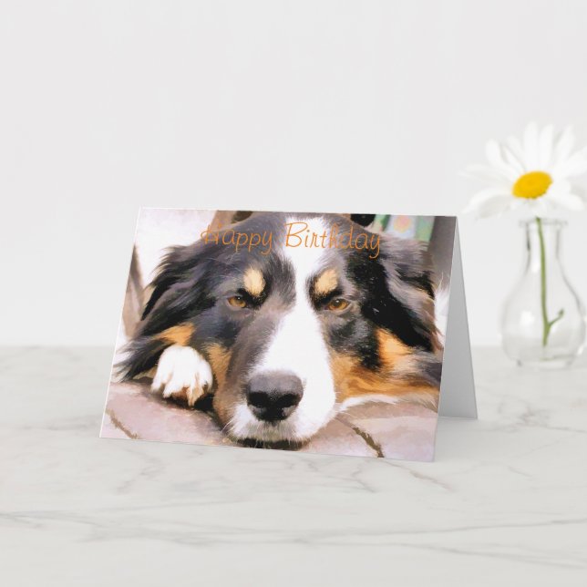 BORDER COLLIE CARD (Small Plant)