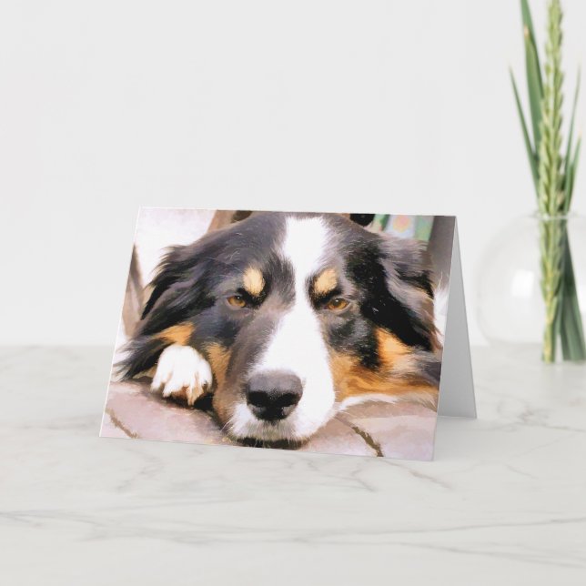 BORDER COLLIE CARD (Front)