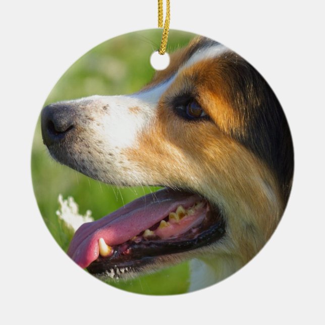 Border Collie Ceramic Tree Decoration (Front)